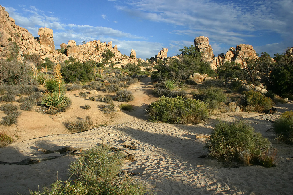 IMG_158.JPG - Hidden Valley, Joshua Tree National Park