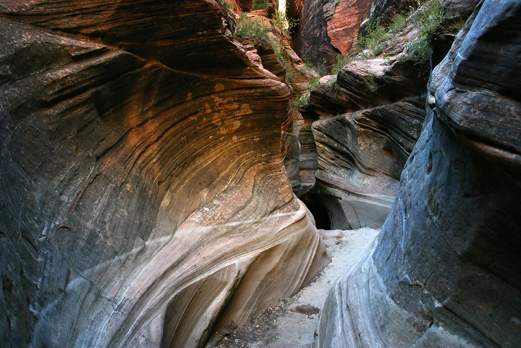 IMG_205.JPG - Zion National Park