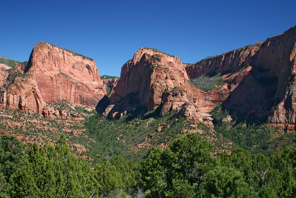 IMG_1206.JPG - Zion National Park