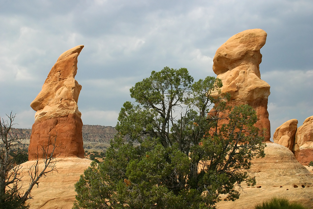 IMG_1461.JPG - Devils Garden, Grand Staircase-Escalante National Monument