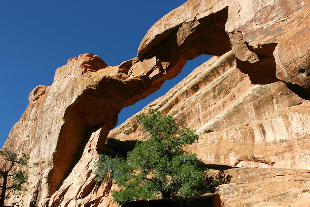 IMG_2702.JPG - Arches National Park