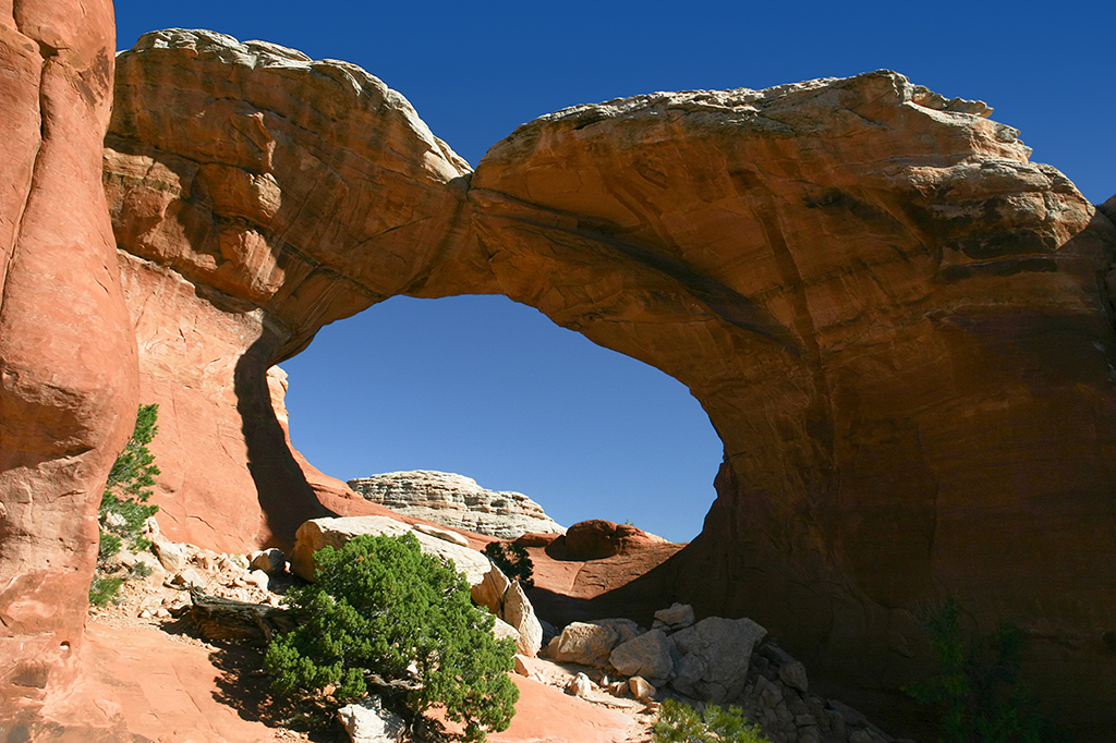 IMG_2878.JPG - Arches National Park