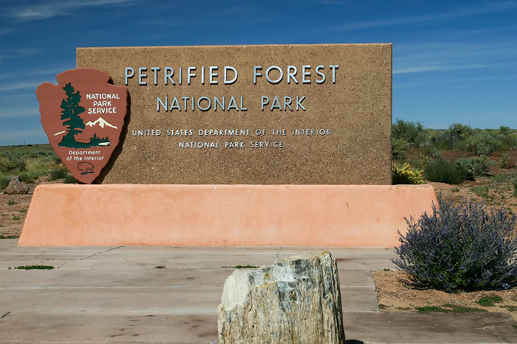 IMG_3411.JPG - Petrified Forest National Park