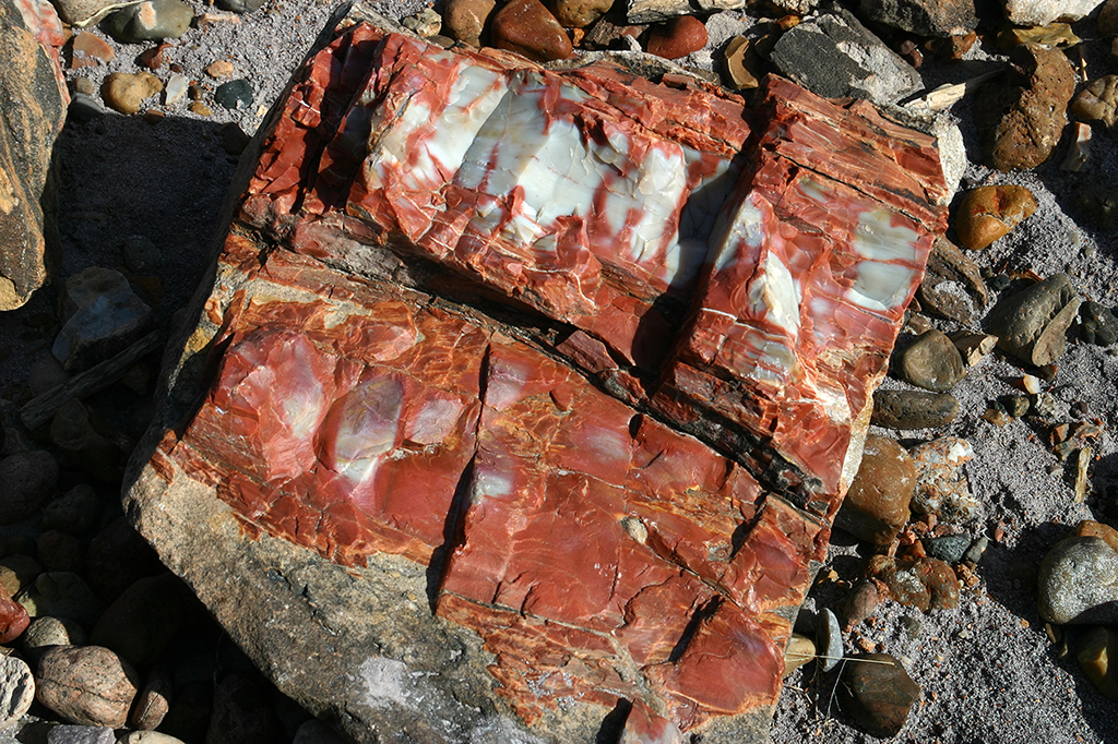 IMG_3433.JPG - Petrified Forest National Park