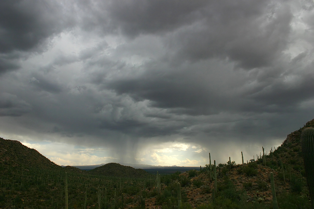 IMG_4469.JPG - Saguaro National Park