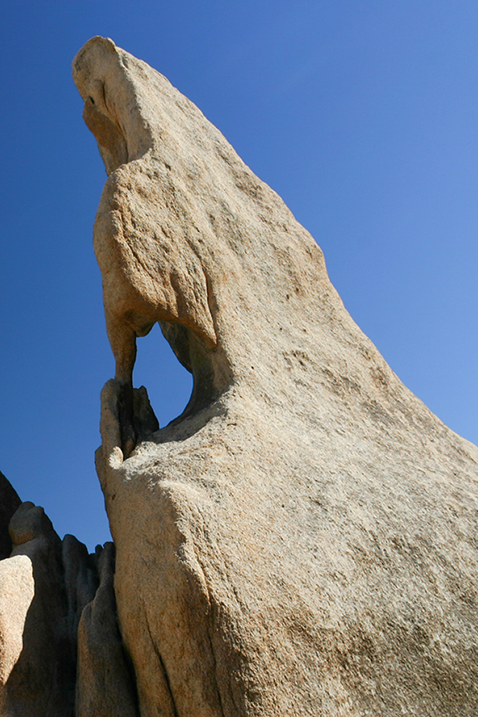 IMG_5040.JPG - Joshua Tree National Park