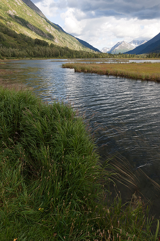 IMG_054.jpg - Tern Lake