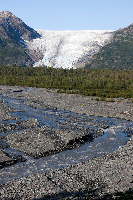 IMG_086.jpg - Exit Glacier und Harding Icefield, Kenai Fjords Nationalpark