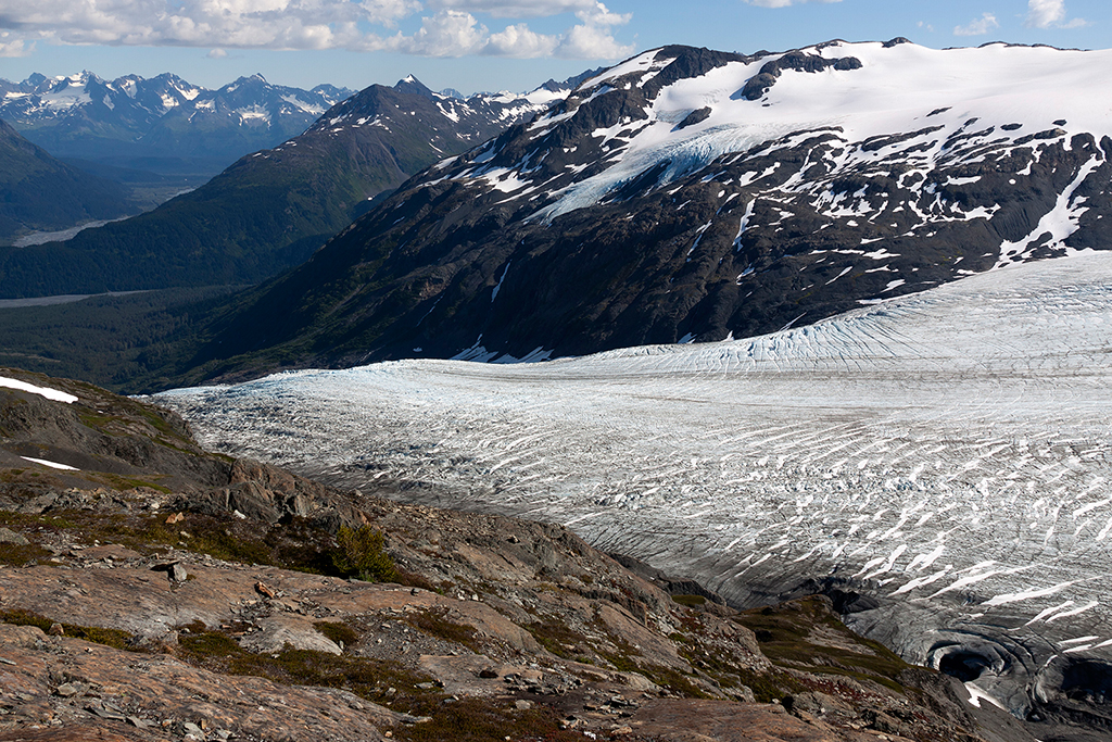 IMG_104.jpg - Exit Glacier und Harding Icefield, Kenai Fjords Nationalpark