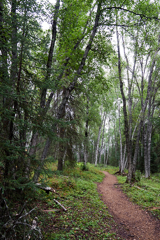 IMG_133.jpg - Kenai National Wildlife Refuge