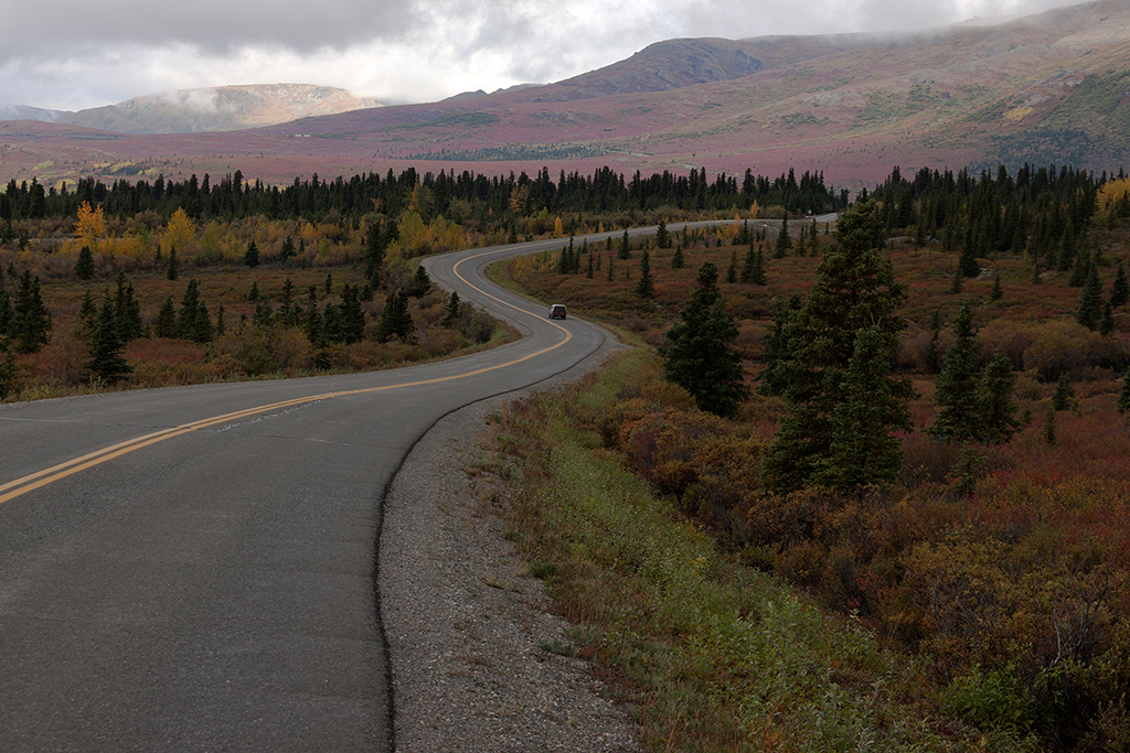 IMG_145.jpg - Denali National Park