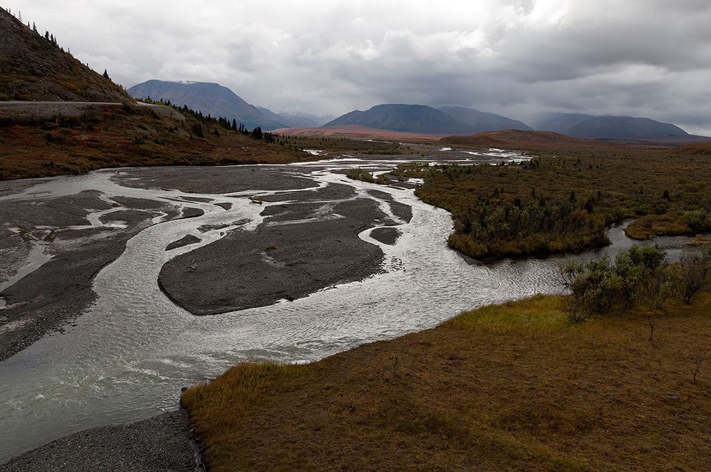 IMG_148.jpg - Denali National Park