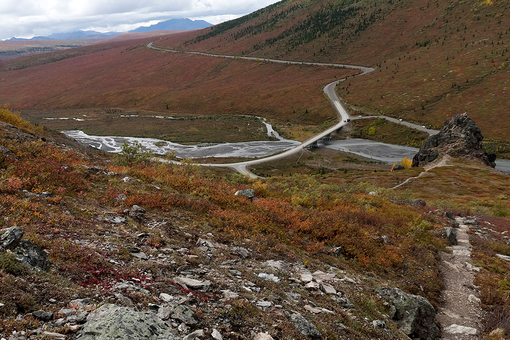 IMG_149.jpg - Denali National Park