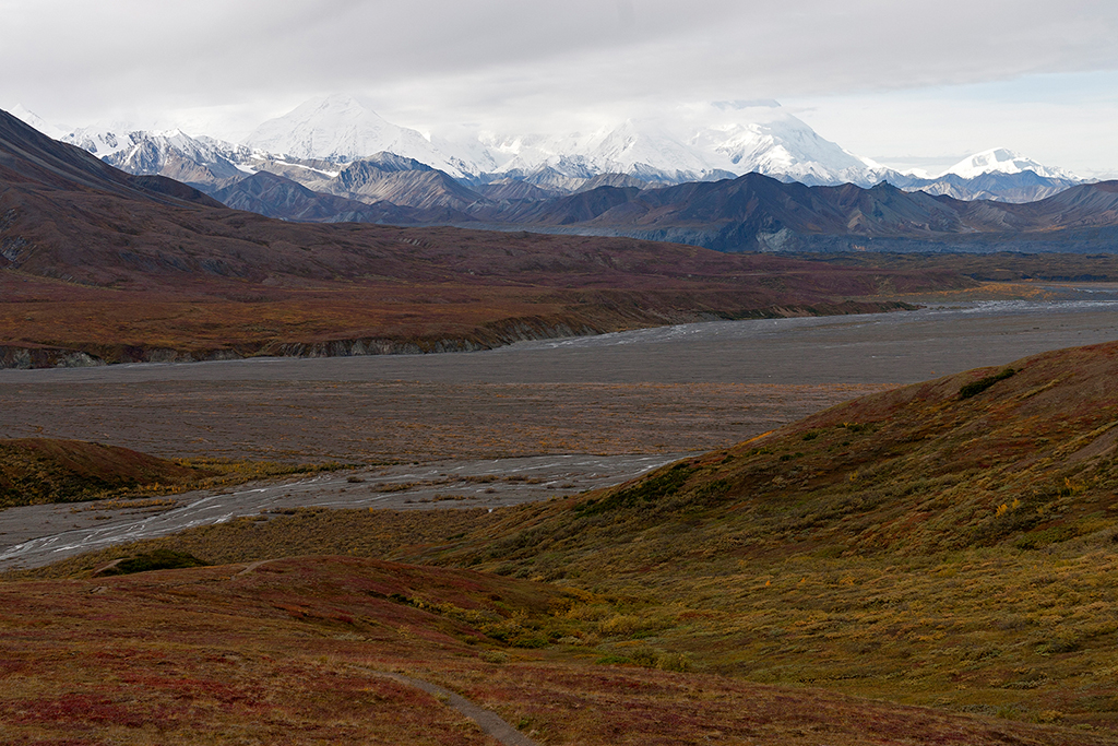 IMG_164.jpg - Mount McKinley (Mt. Denali), Denali National Park