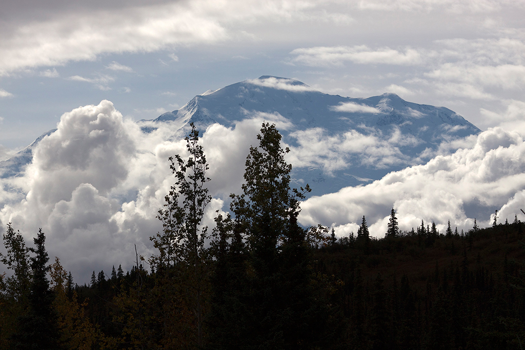 IMG_168.jpg - Denali National Park