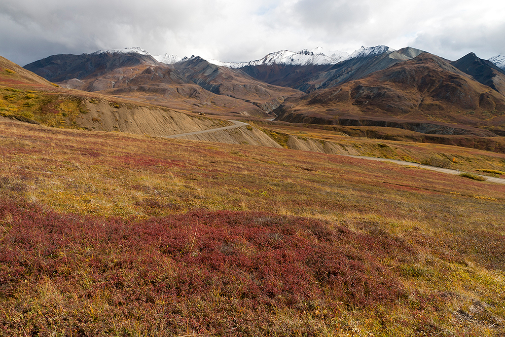 IMG_170.jpg - Denali National Park