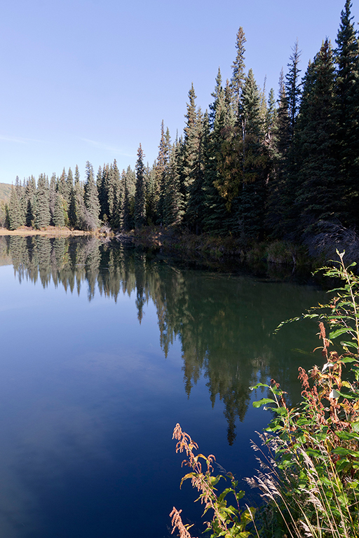 IMG_188.jpg - Chena River State Recreation Area