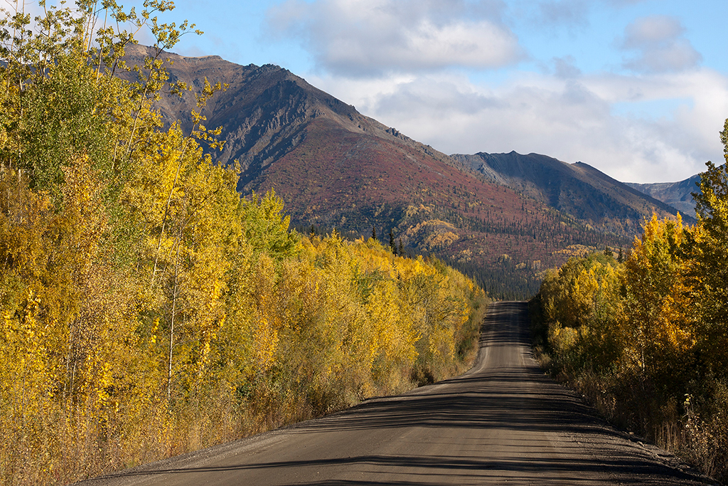 IMG_223.jpg - Dempster Highway