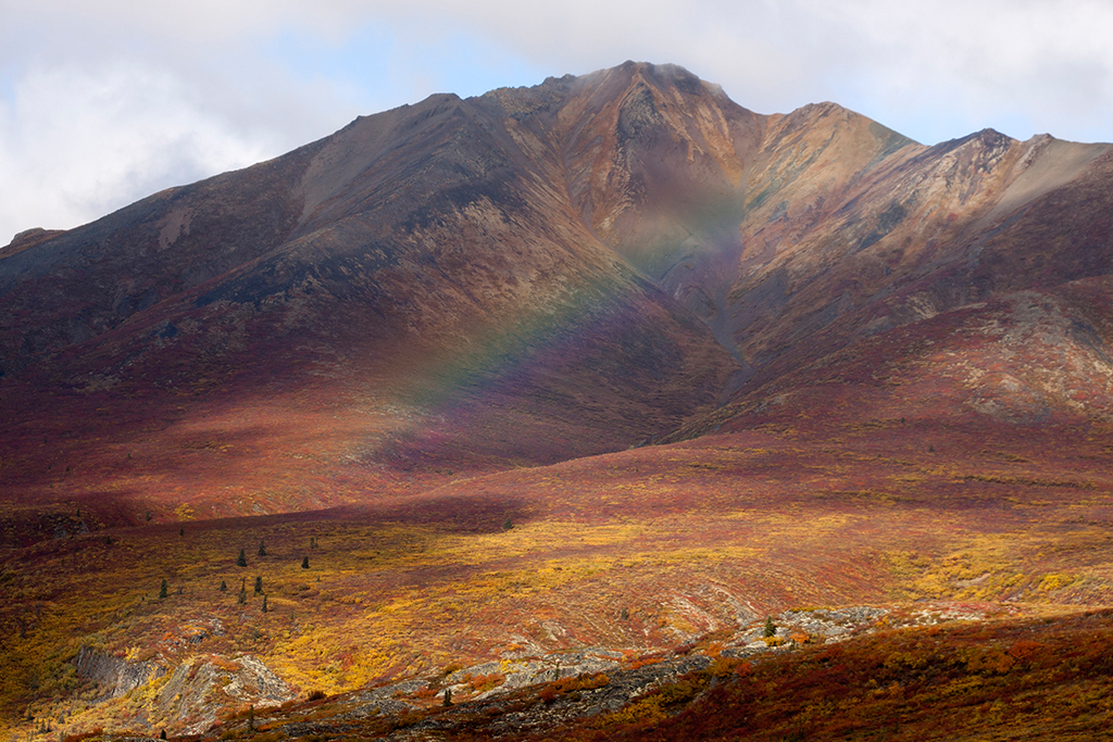 IMG_227.jpg - Tombstone Territorial Park, Yukon