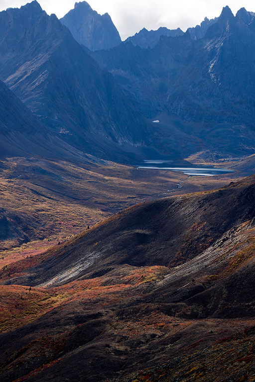 IMG_232.jpg - Tombstone Territorial Park, Yukon