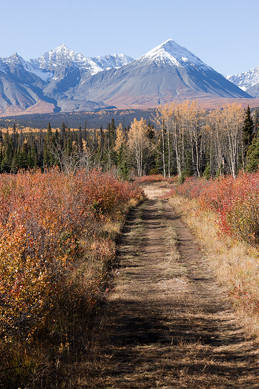 IMG_458.jpg - Kluane National Park