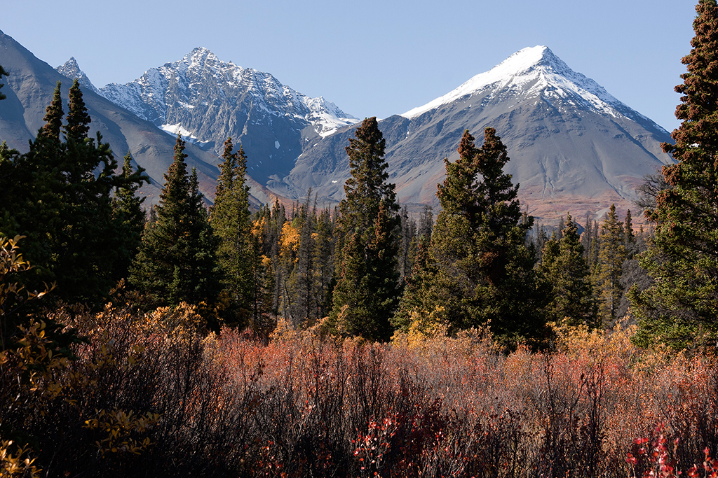 IMG_459.jpg - Kluane National Park