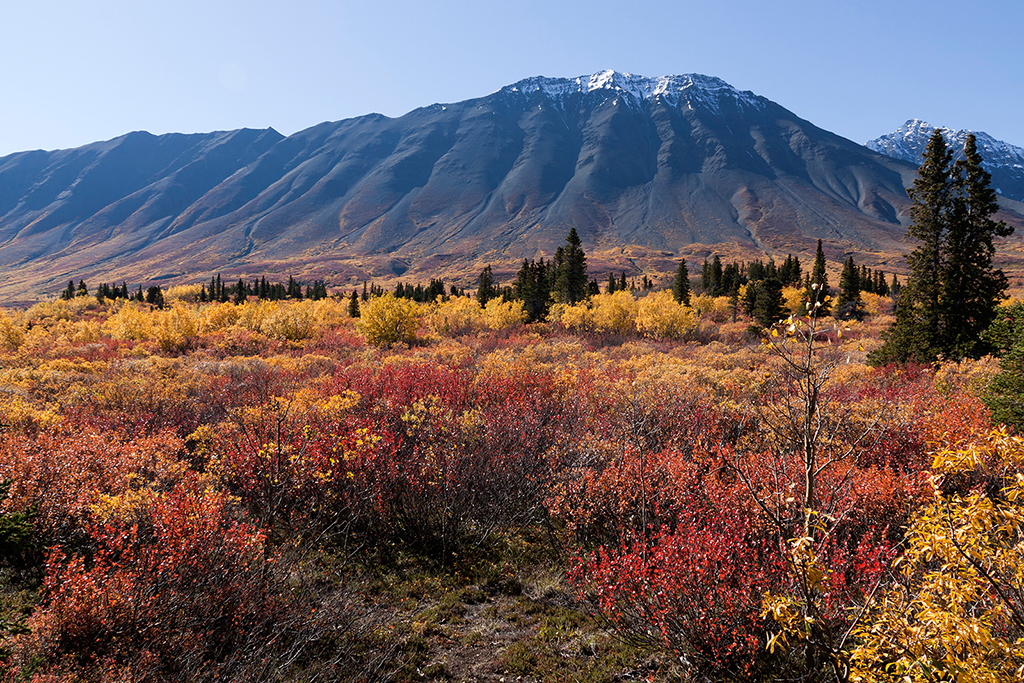 IMG_463.jpg - Kluane National Park