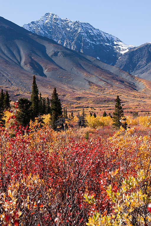 IMG_464.jpg - Kluane National Park