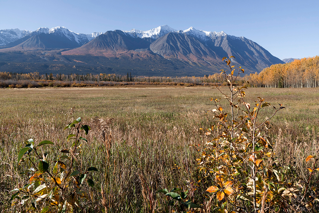 IMG_474.jpg - Alaska Highway