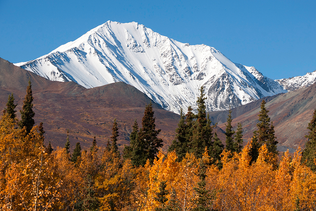 IMG_476.jpg - Alaska Highway