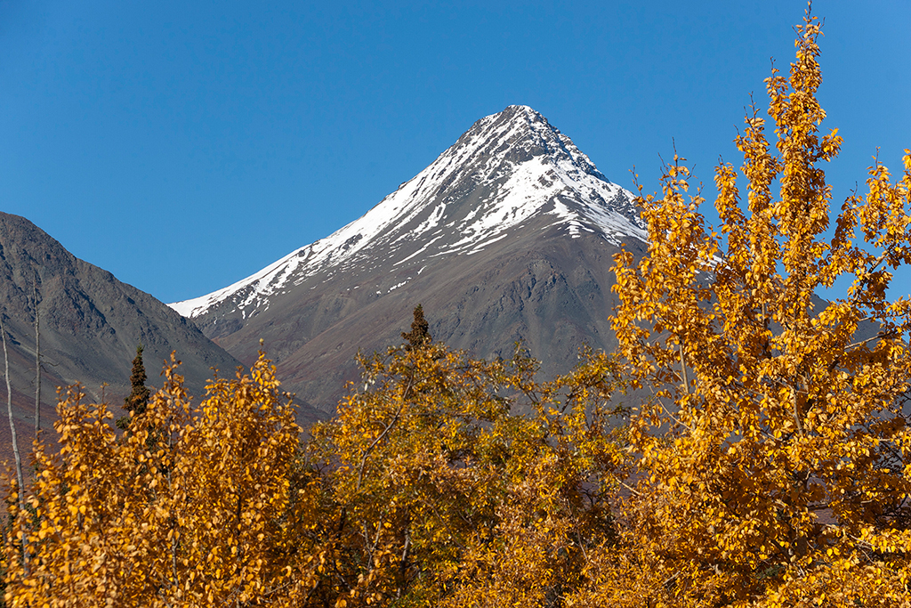 IMG_477.jpg - Alaska Highway