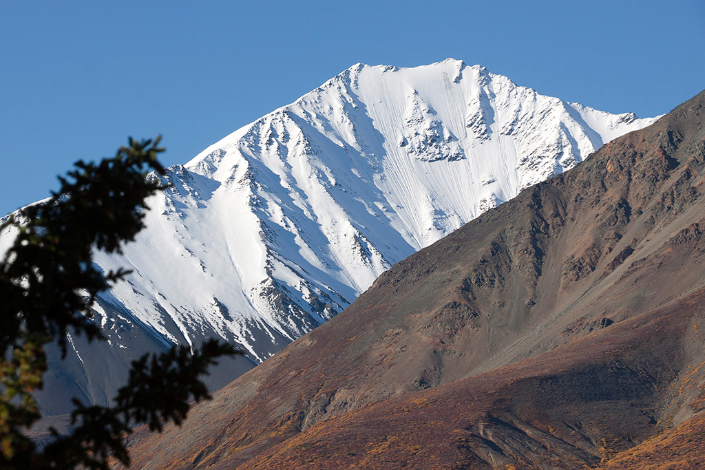 IMG_479.jpg - Alaska Highway