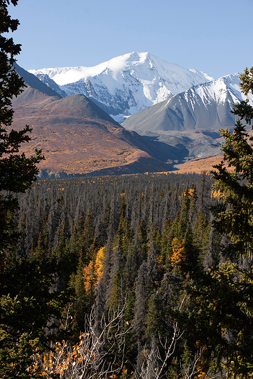 IMG_480.jpg - Alaska Highway