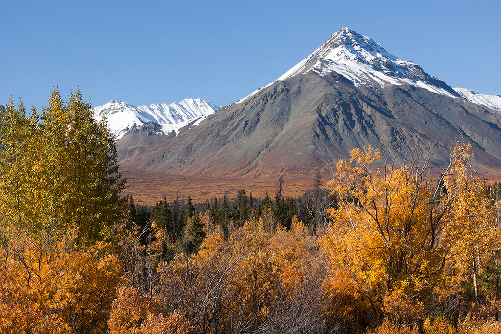 IMG_482.jpg - Alaska Highway