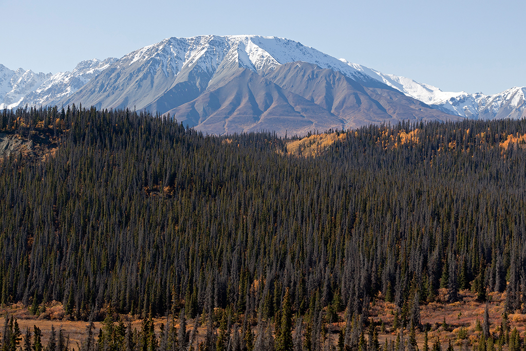 IMG_484.jpg - Alaska Highway