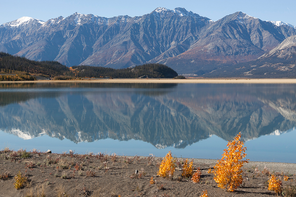 IMG_487.jpg - Kluane Lake