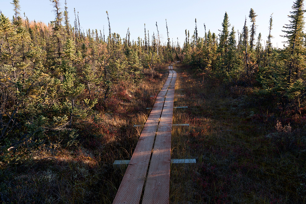 IMG_491.jpg - Tetlin Refuge