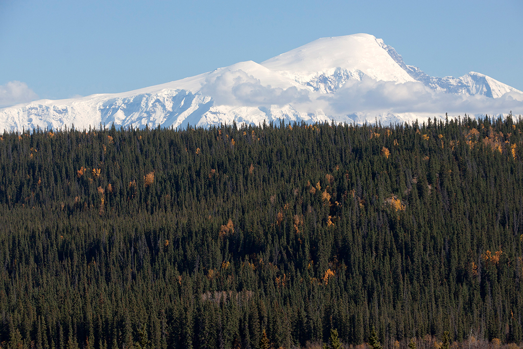 IMG_507.jpg - Wrangell - St. Elias National Park