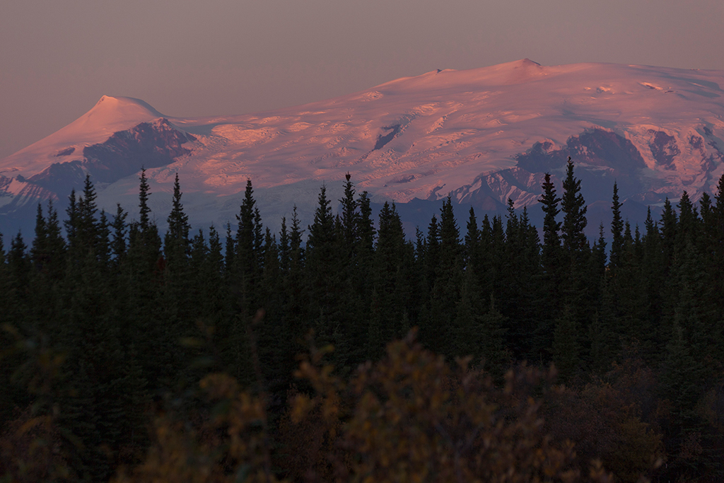 IMG_517.jpg - Wrangell - St. Elias National Park