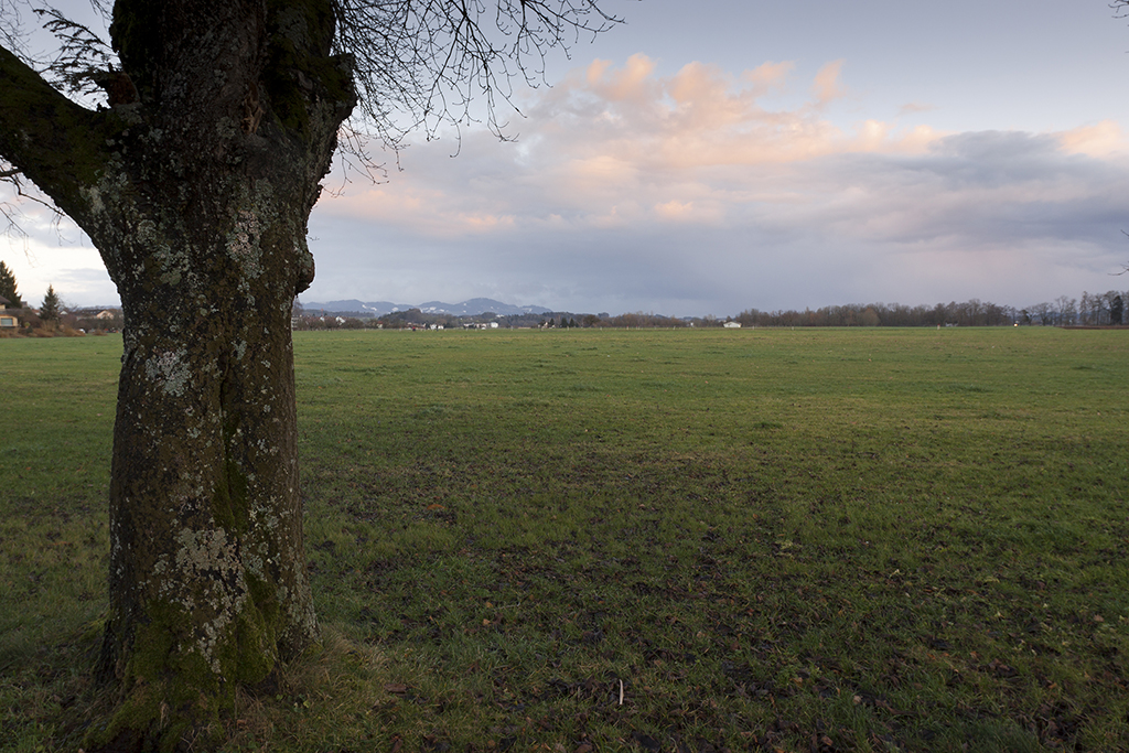 Greifensee_01.jpg