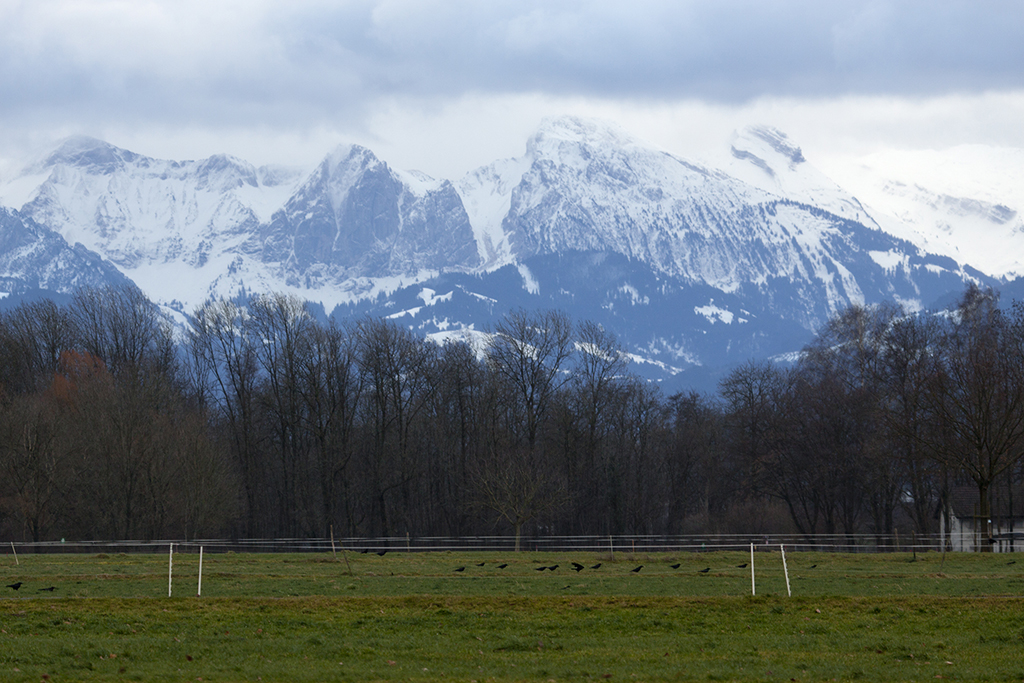 Greifensee_14.jpg