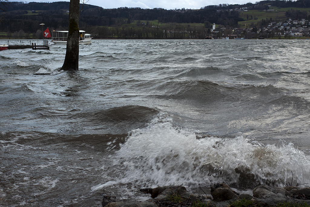 Greifensee_19.jpg