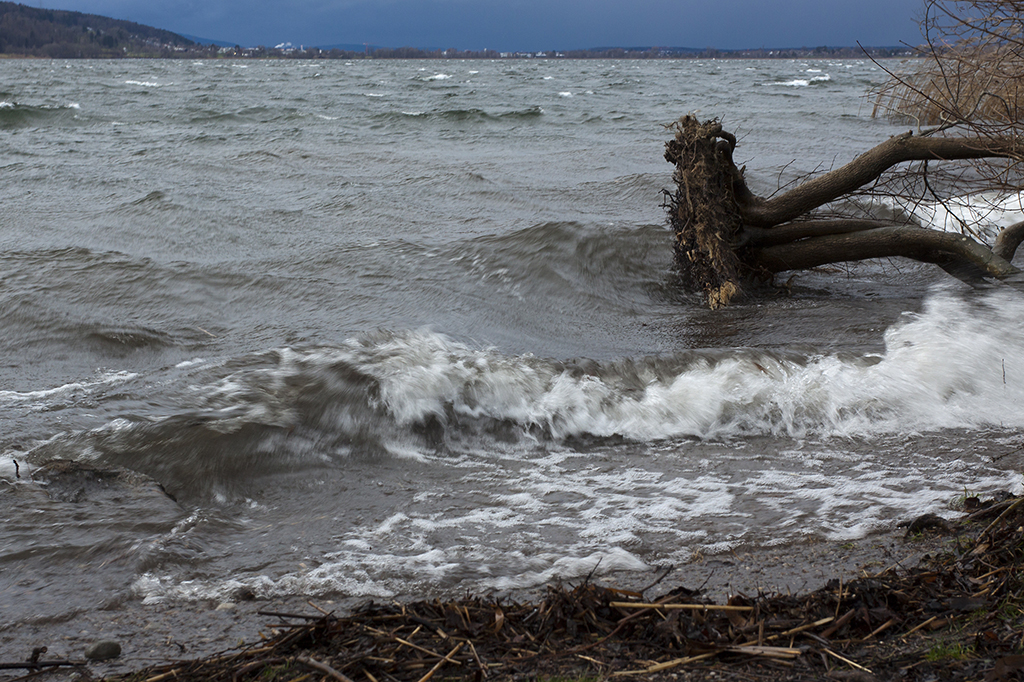 Greifensee_20.jpg