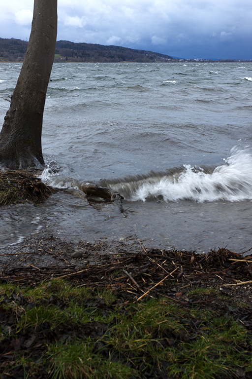 Greifensee_22.jpg