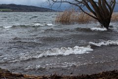 Greifensee_23