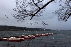 Greifensee_27