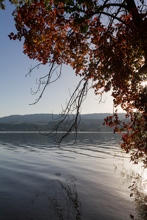 Herbst_5.jpg