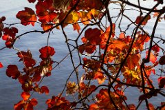 Herbst_4