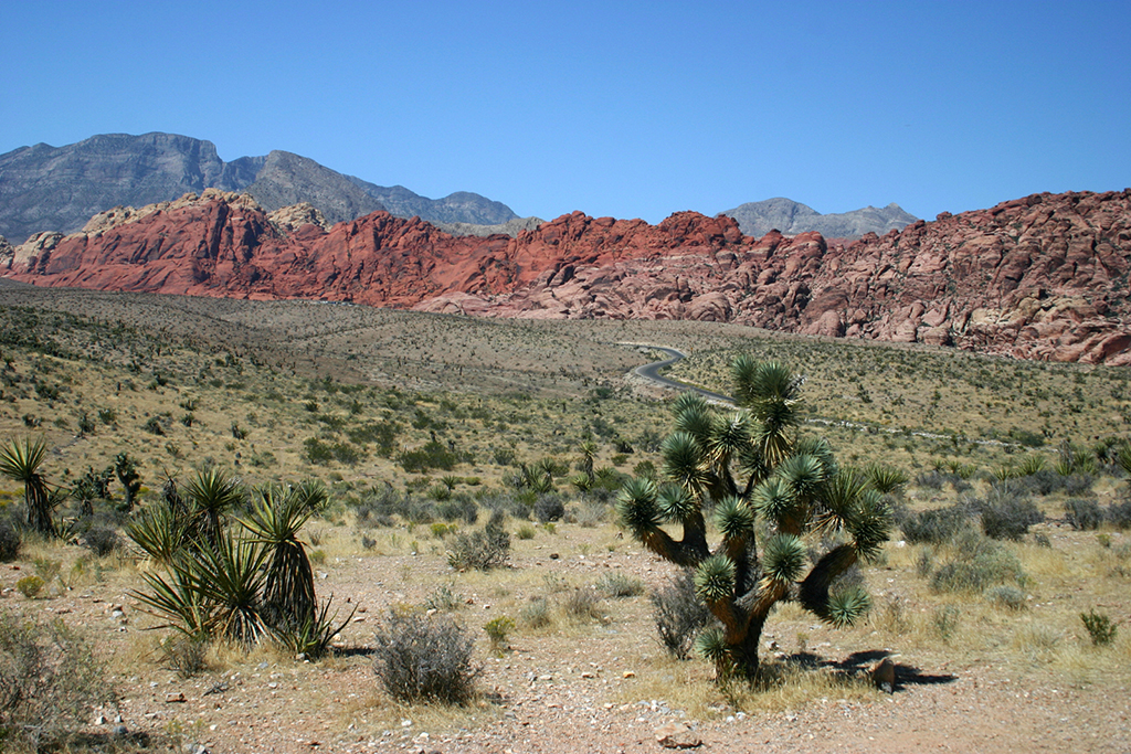 IMG_012.JPG - Red Rock Canyon