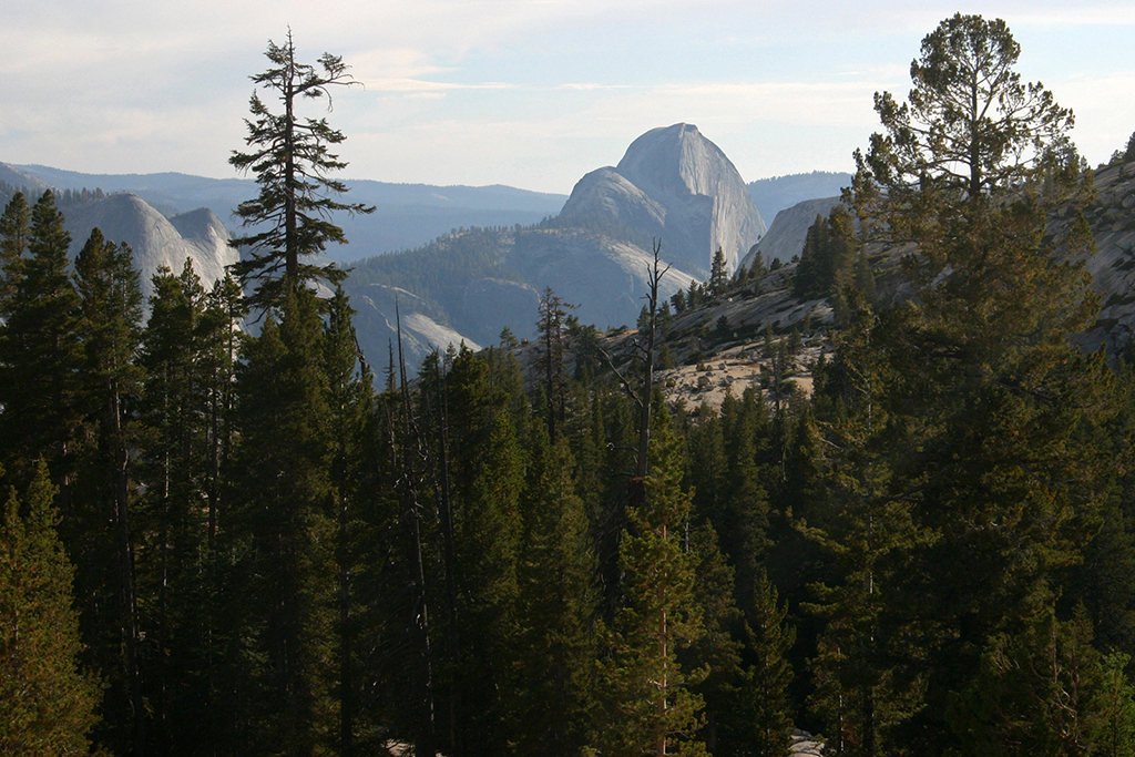 IMG_039.JPG - Half Dome, Yosemite National Park